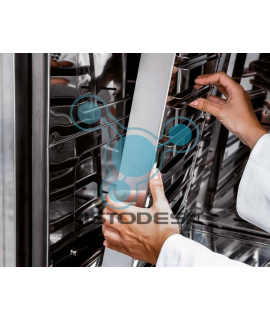 forno-a-convenzione-d6-gas-ristodesk-7