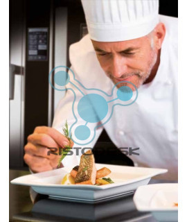 forno-a-convenzione-s6-gas-ristodesk-18