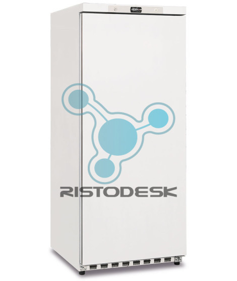 congelatore-verticale-professionale-gn-600-ps-bt-ristodesk-1
