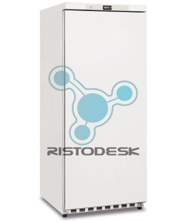 congelatore-verticale-professionale-gn-600-ps-bt-ristodesk-1