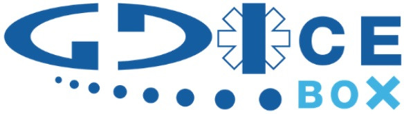 G.D. Ice s.r.l.